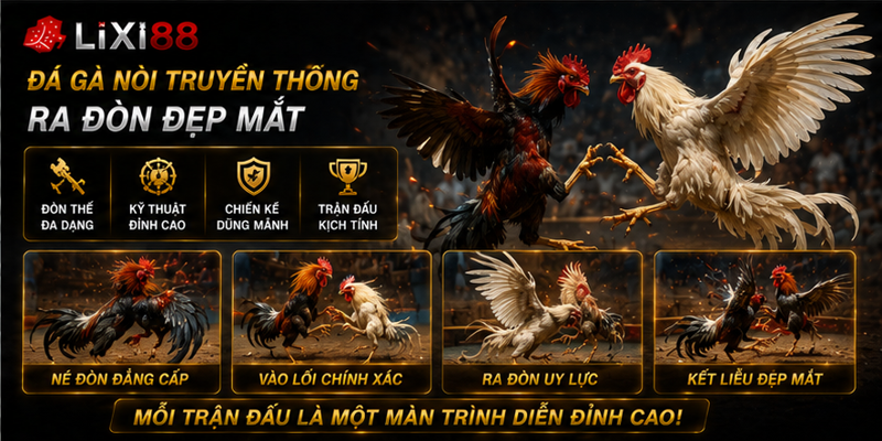 Đá gà nòi truyền thống ra đòn đẹp mắt Đá gà nòi truyền thống ra đòn đẹp mắt