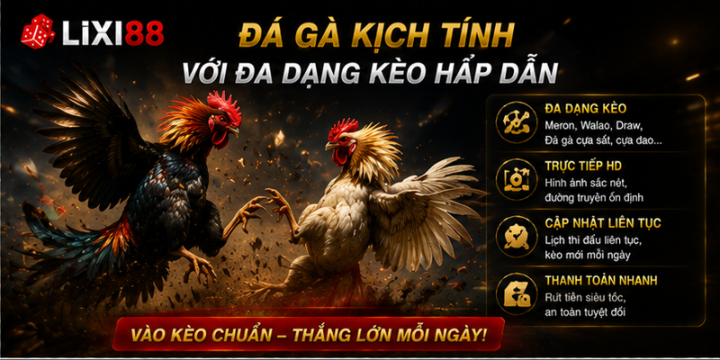 Đá gà kịch tính với đa dạng kèo hấp dẫn